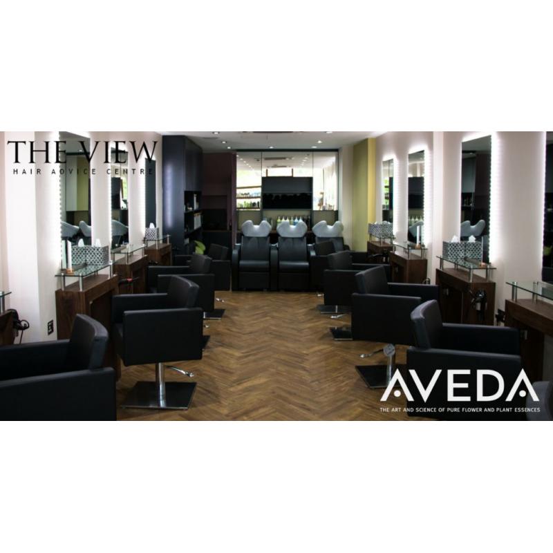Talented Hair Stylists Wanted
