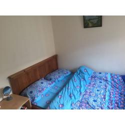 bright single room with double bed/ exclusive use of other areas in the flat to make up for small rm