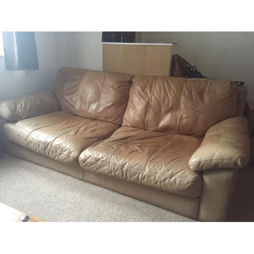 Free Sofa!