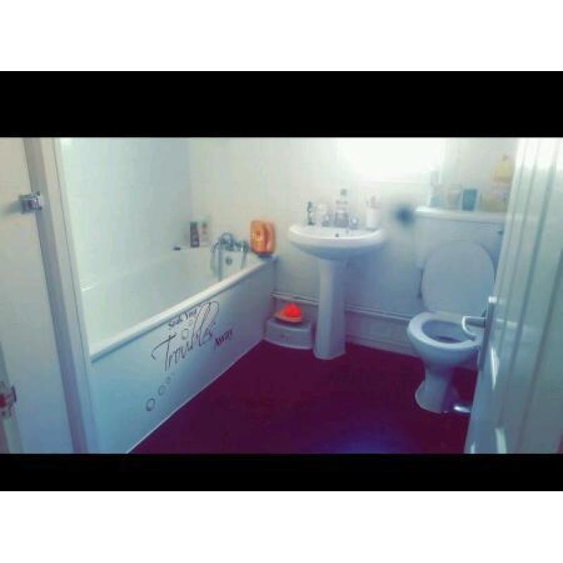 Extremely Large One Bed House Conversion For 2Bed Property