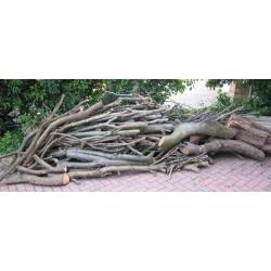 Firewood - Organic - FREE