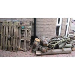 Firewood - Organic - FREE