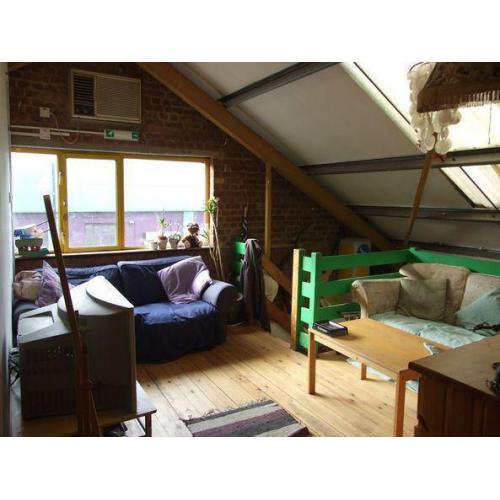 3 Amazing Big Dbl rooms in Cool Crative Warehouse Massive Garden and Huge lounge