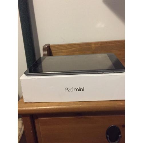 iPad Mini, 16GB, WiFi, Black