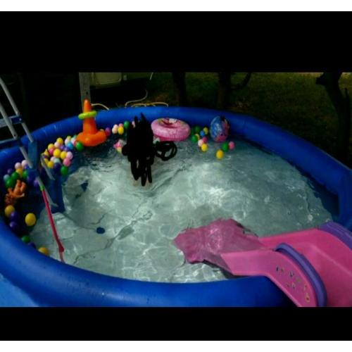 10ft above ground bestway swimming pool