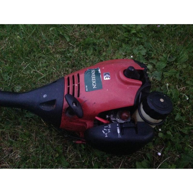 Petrol strimmer