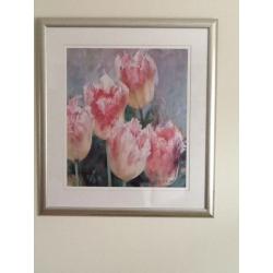 Large tulip print picture