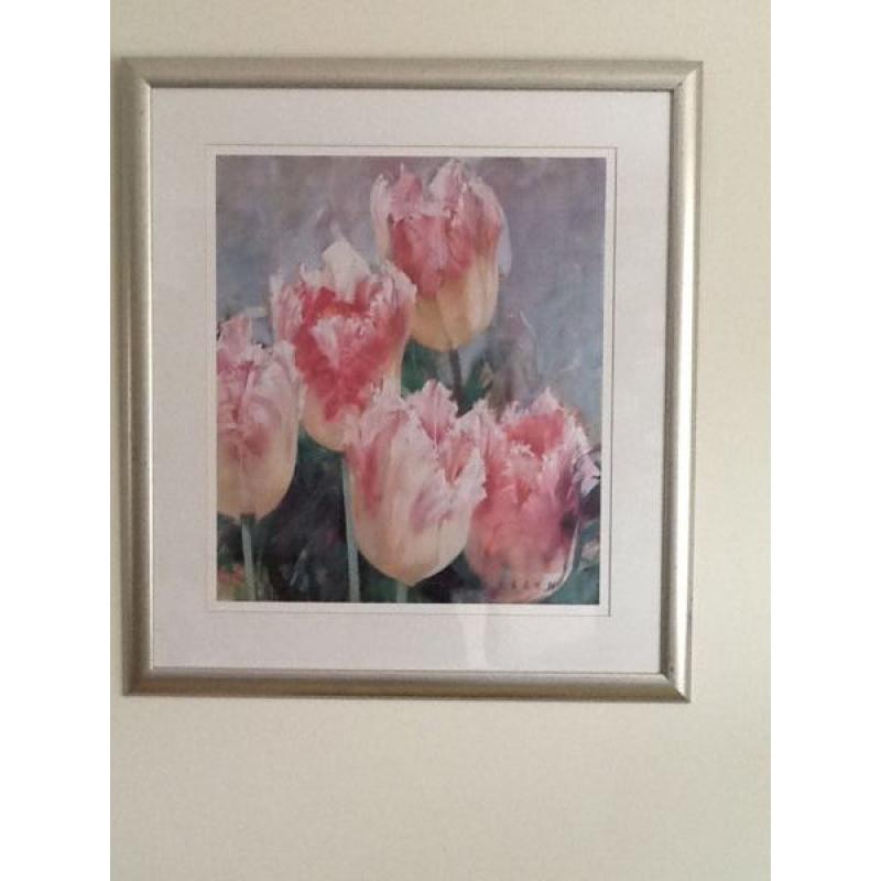 Large tulip print picture