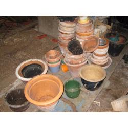 Flower Pots, seed trays and mini plastic tunnel.