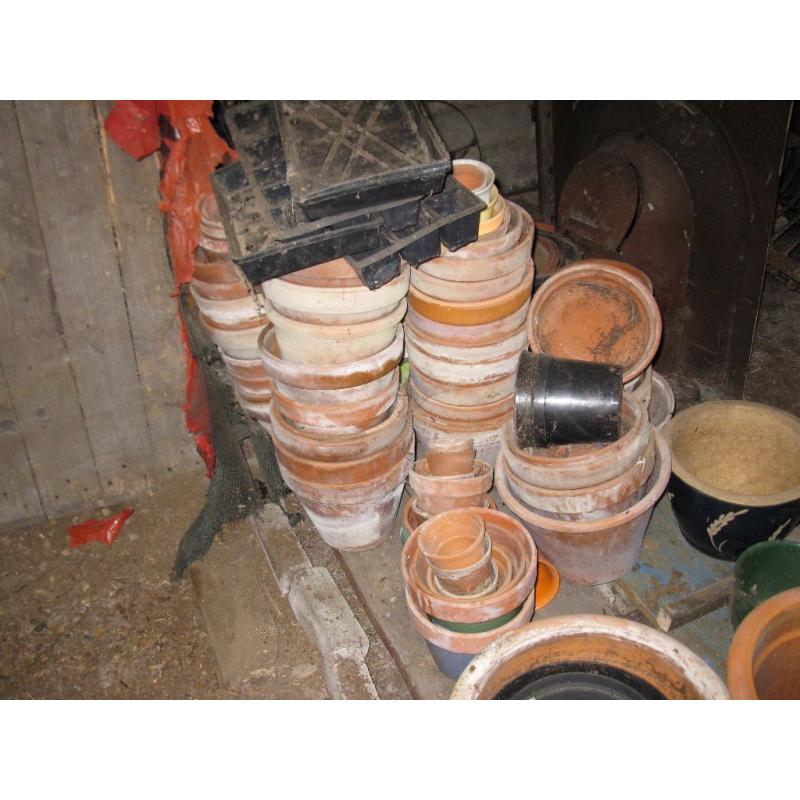 Flower Pots, seed trays and mini plastic tunnel.