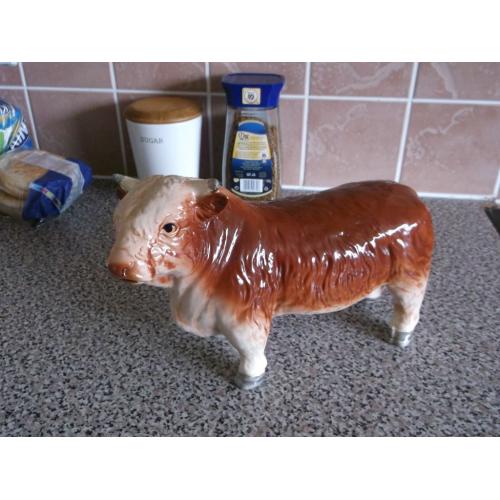 a pot bull