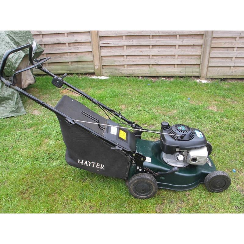 HAYTER 41 MOTIF PUSH MOWER