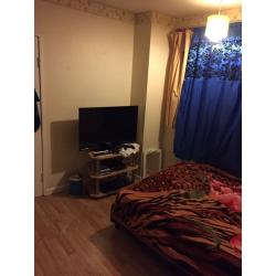 Room share for female
