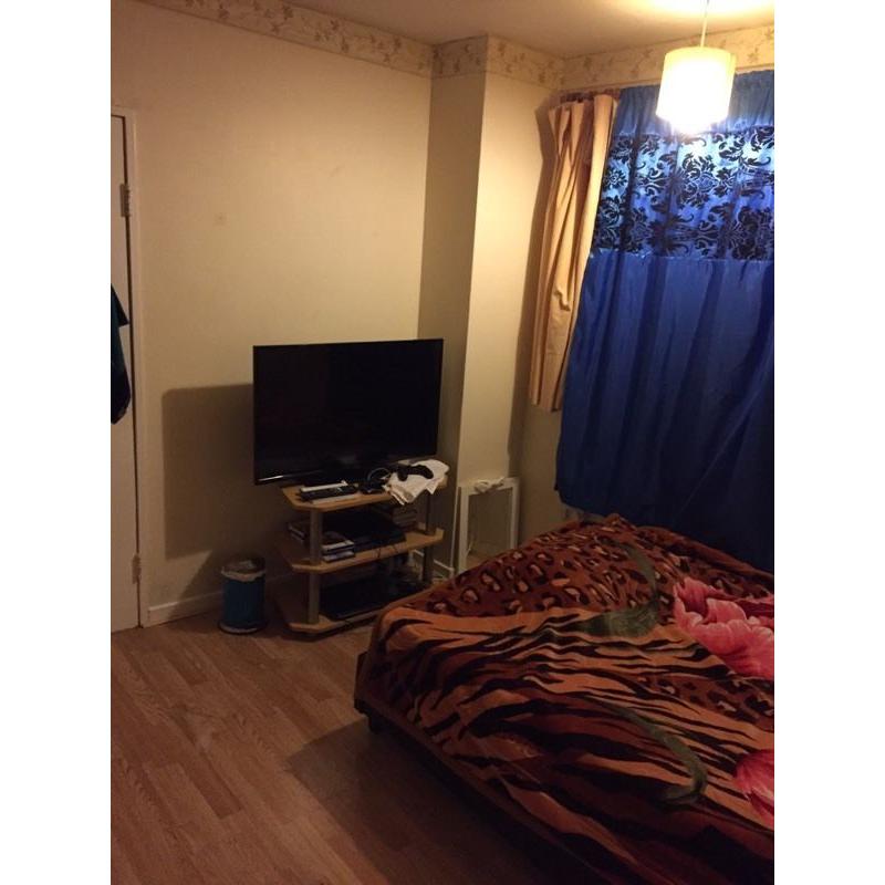 Room share for female