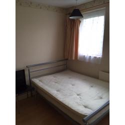 Room share for female