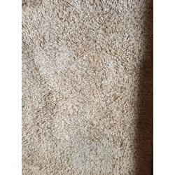 Lovely Next Shaggy Rug