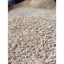 Lovely Next Shaggy Rug