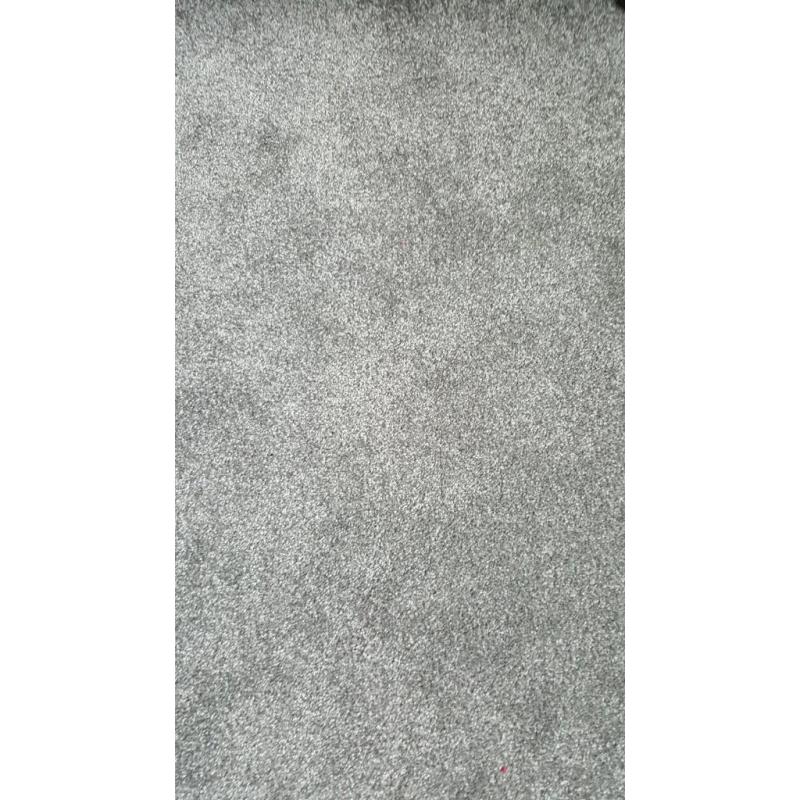 New Grey good quality carpet : Primo Choice Elite Mercury