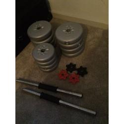 x2 Dumbbell lifting weights training