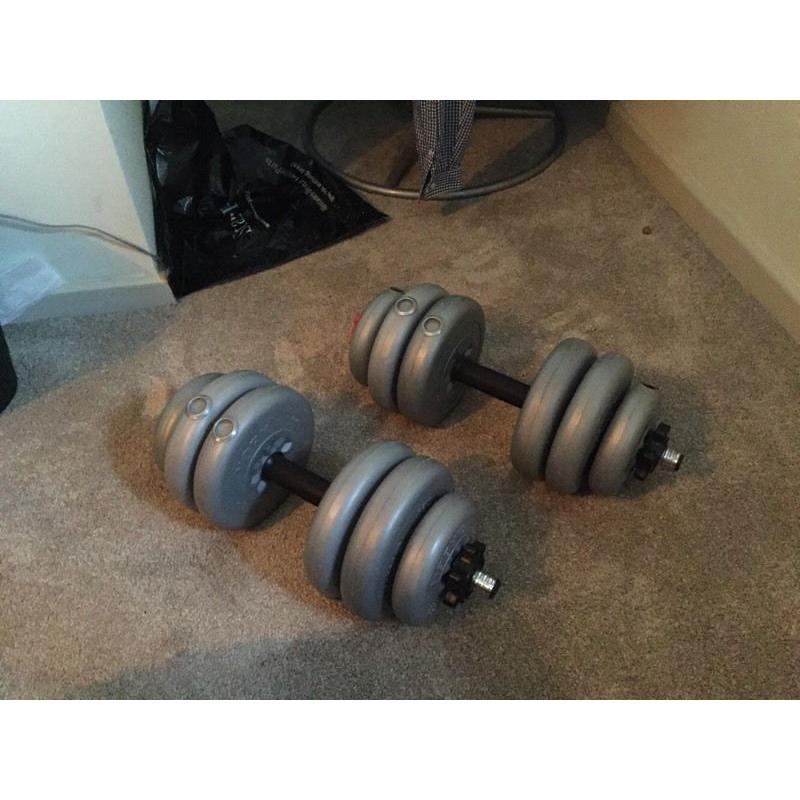 x2 Dumbbell lifting weights training