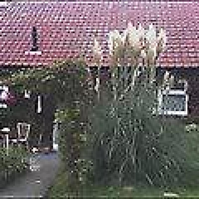 1 bed bungalow to swap