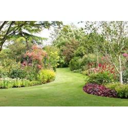 Gardener looking for work.