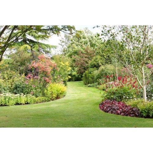 Gardener looking for work.