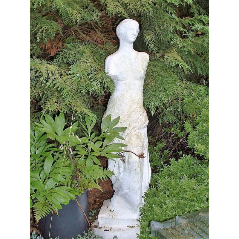 Concrete statue Venus.
