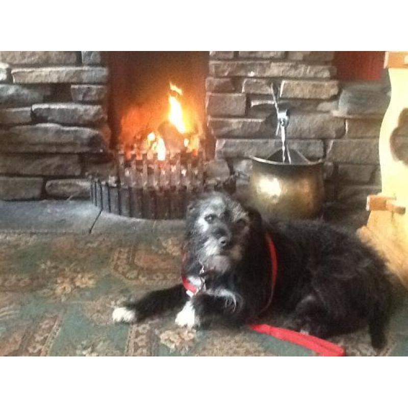 Live in couple required to work in kitchen and bar in a busy country pub