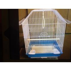 Beautiful baby budgies for sale