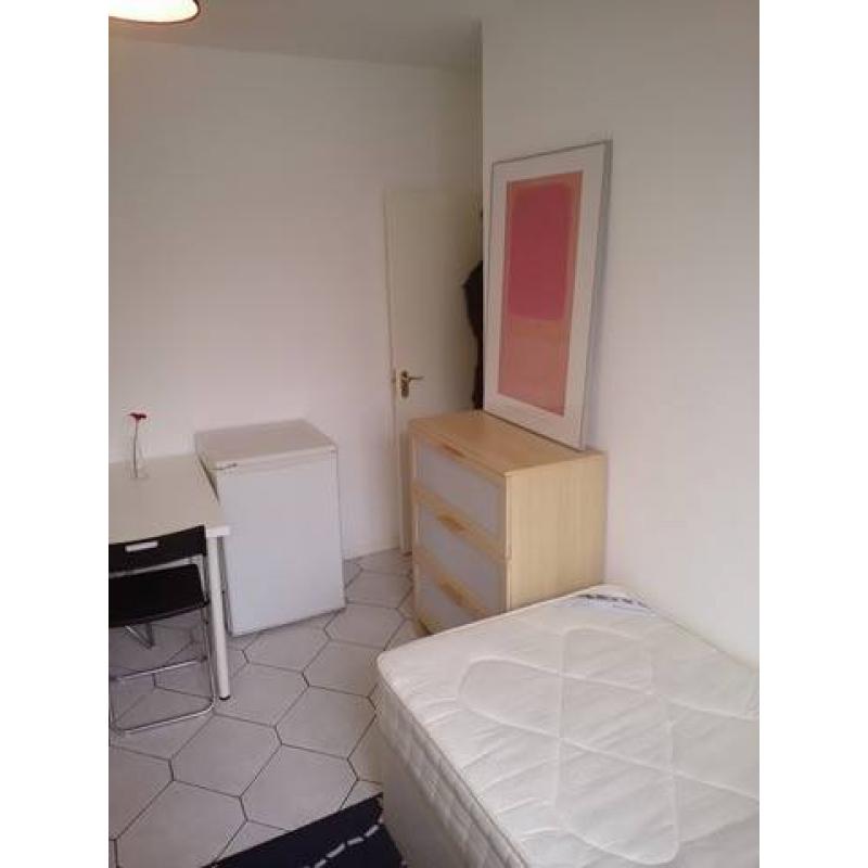 Beautiful twin room to rent, 2 weeks deposit only