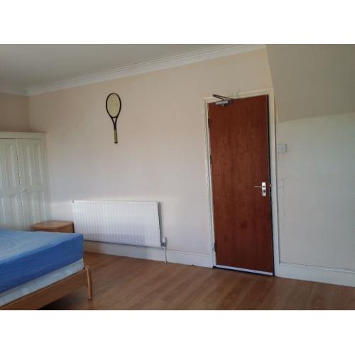 ice Double room near forest field tram stop. NTU students