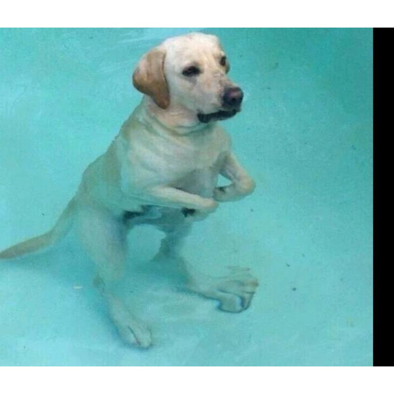 ..... Professional couple WLTM no nonsense landlord