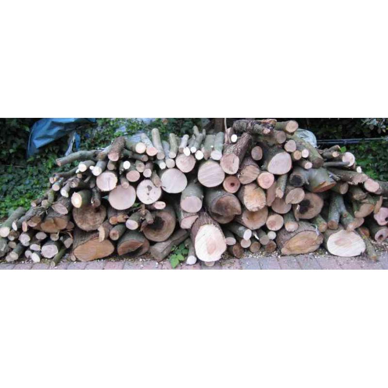 FREE Firewood - Logs - Organic - Limited time offer !