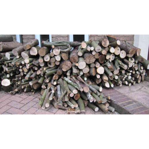 FREE Firewood - Logs - Organic - Limited time offer !