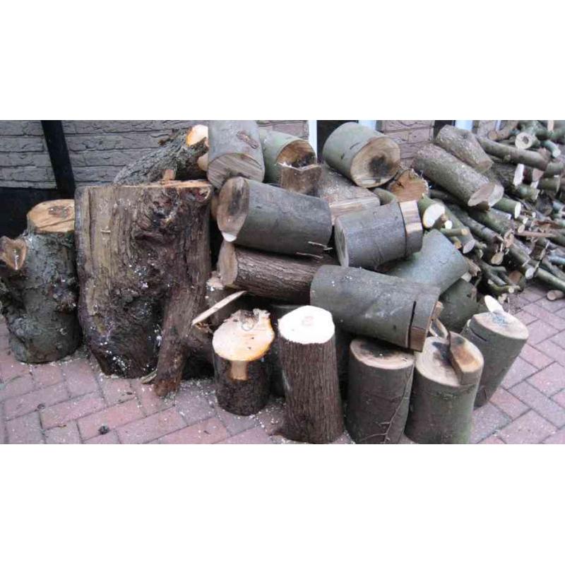 FREE Firewood - Logs - Organic - Limited time offer !