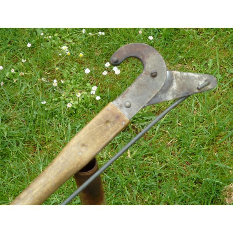 Tree and Bush lopper