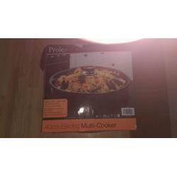 Camping electric pan