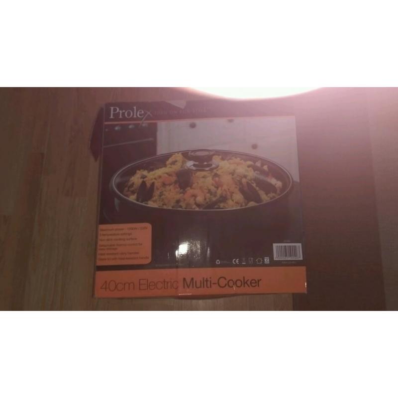 Camping electric pan