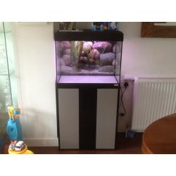 Aquarium / Fluval 90 litre Roma Fish Tank & Stand
