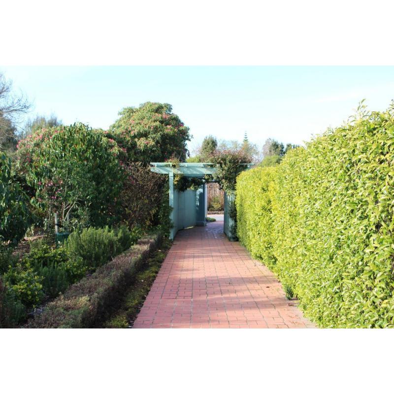 Gardening Jobs, Interior Painting or Interior House Cleaning at a reasonable price!