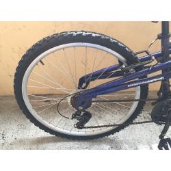 Apollo Men Mountain bike