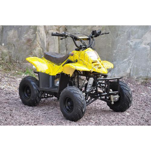 BRAND NEW 2016 110 cc QUAD ATV dirt bike Crusader Air-cooled 4 Stroke unleaded petrol xclusive 110cc