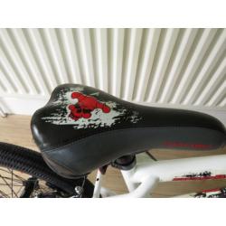 BOYS BMX 18" WHEELS. WHEN A FULL SIZE IS JUST TO BIG,