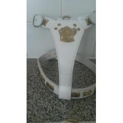 White leather harness, collar and lead
