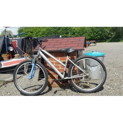 Ladies appolo bike