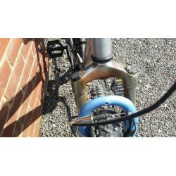 Ladies appolo bike