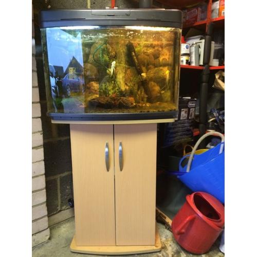 64 litre aquarium full set up inc stand