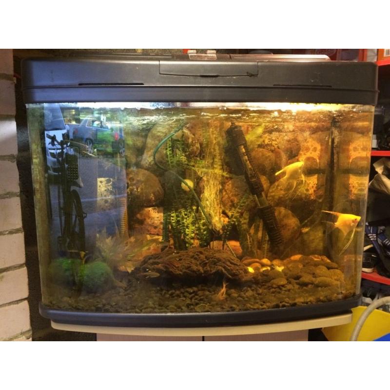 64 litre aquarium full set up inc stand
