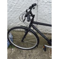 Ridgeback speed bike
